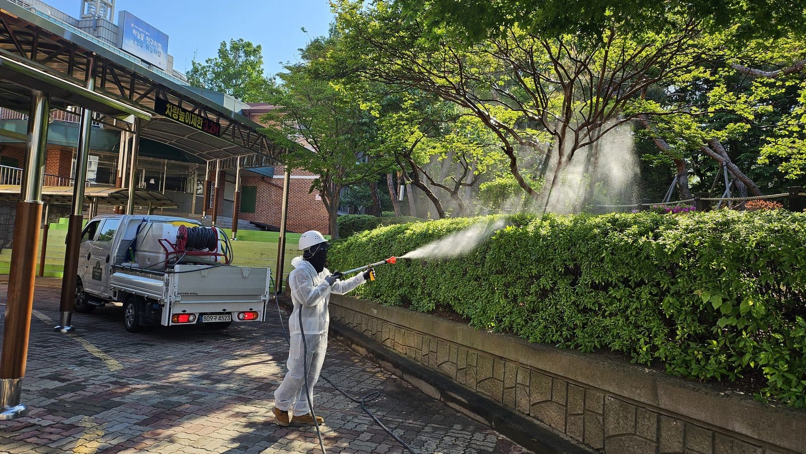수도여고 회랑 옆에 1톤 방제차량을 세우고 작업자가 호스를 끌어 생울타리에 약액을 살포하고 있다